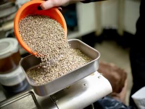 Augalinių aliejų karalienė Rasa atskleidžia ne tik maistines, bet ir gydomąsias jų savybes