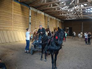 Respublikinėse Žemaitukų ištvermės jojimo ir važiavimo varžybose „Jotvingių taurė - 2020” apdovanoti