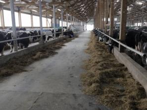 KLIMATO KAITOS CENTRAS – KAUNO RAJONE? 