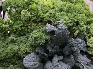 Ekologiškų produktų mugė Kaune